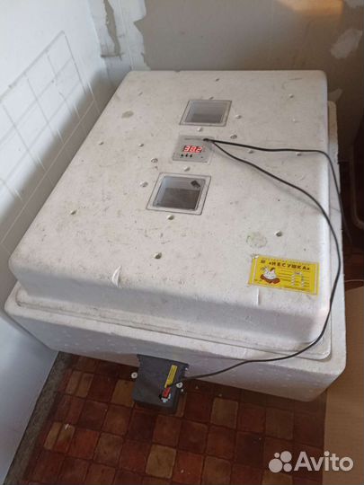 Инкубатор для яиц