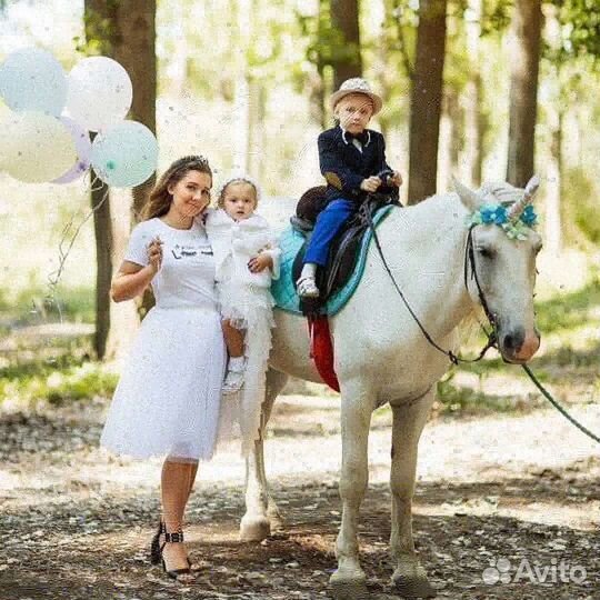 Прогулки на лошадях, аренда лошадей/пони