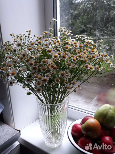 Букет из ромашек