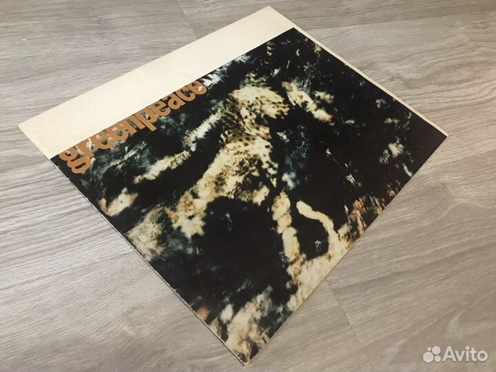 Вкладыш буклет пластинки Green peace