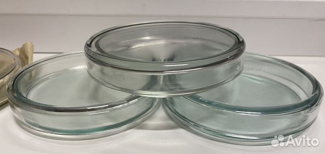 Чашки Петри стеклянные