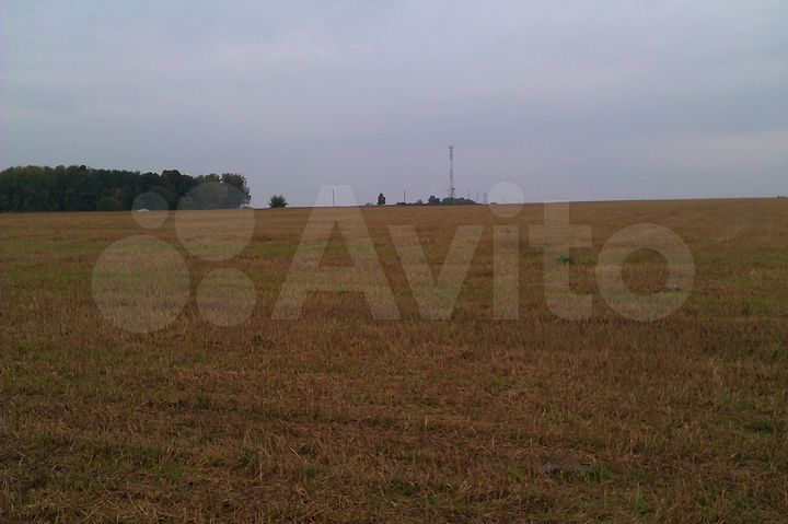 Участок 7 га (СНТ, ДНП)