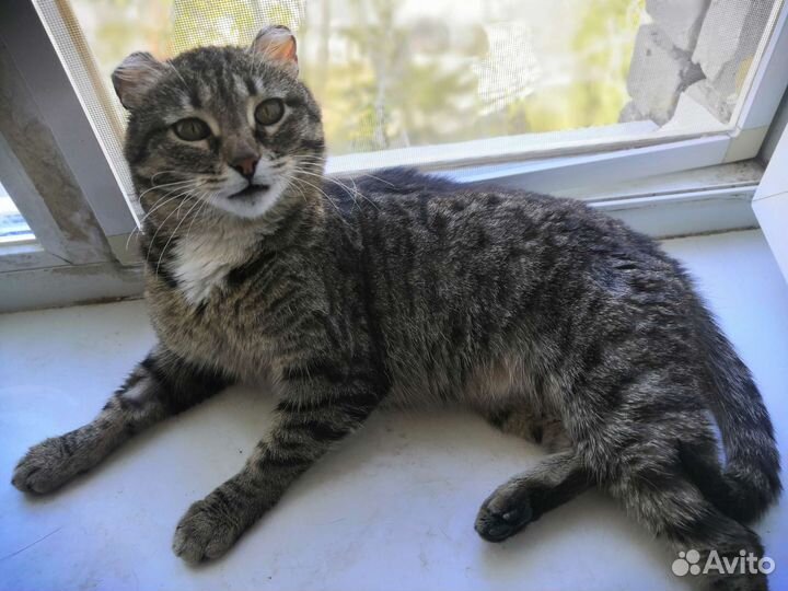 Изумительная малышка