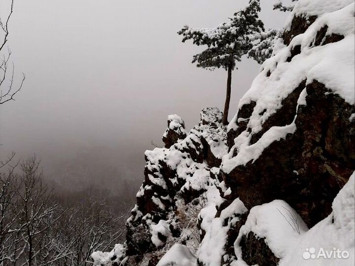 Экскурсия — Хабаровск — Из Хабаровска — В Природны