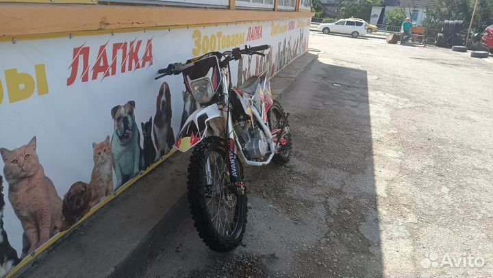 Эндуро Avantis basic A1