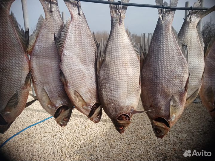 Рыба вяленая балык