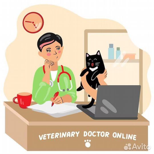 Ветеринарный врач