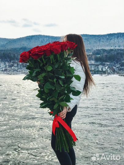 Розы красные Эксклюзивные высотой 120-150 см