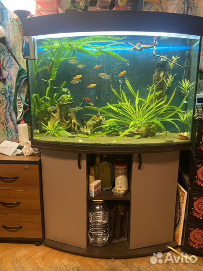 Аквариум с тумбой 400 литров