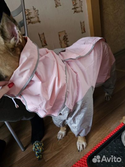 Дождевик для крупной собаки