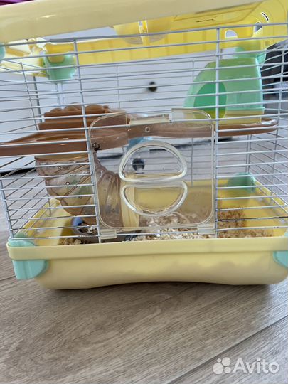 Клетка для джунгарика