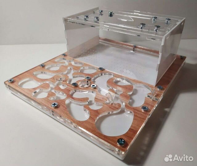 Муравьиная ферма