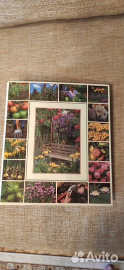 Сад моей мечты