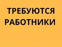 Работа для всех/без опыта/разнорабочий