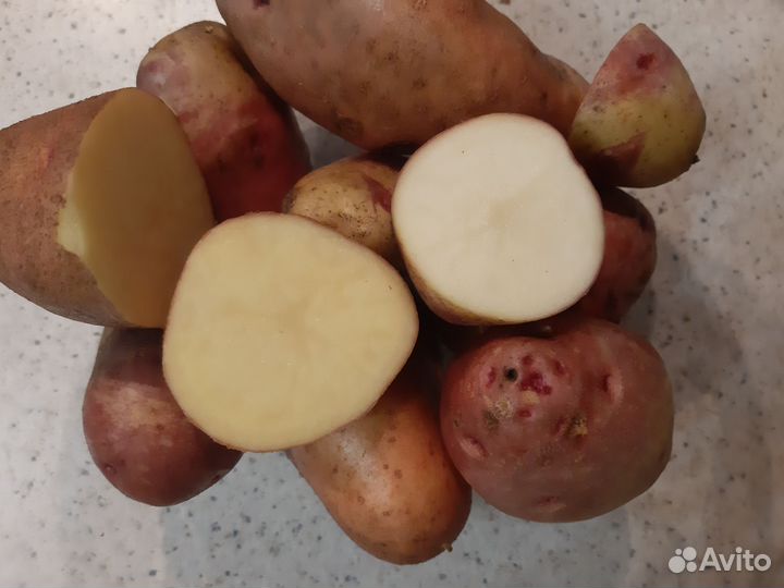 Картофель на зиму Кофта-Юбка