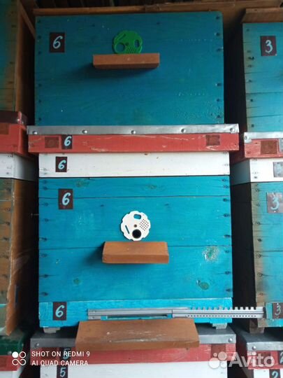 Инвентарь для пчеловодства