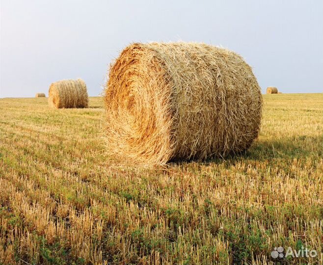 Продам солому