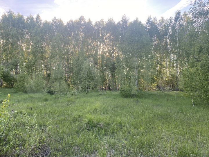 Участок 20 сот. (ИЖС)