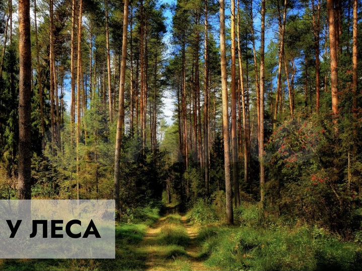 Участок 8,6 сот. (СНТ, ДНП)