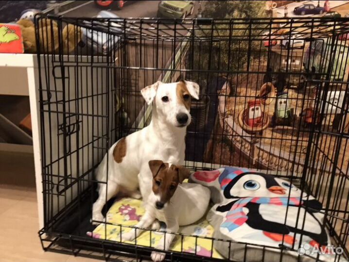 Клетка для собак