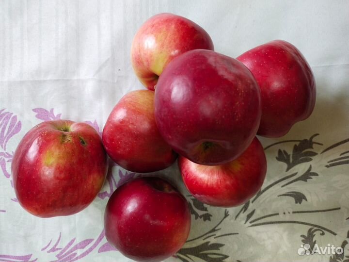 Продам яблоки опт, мелкий опт