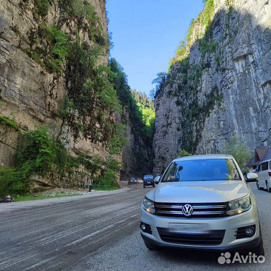 Экскурсии в Абхазию