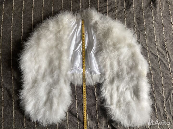 Лебяжья горжетка