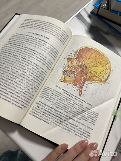 Книги по анатомии