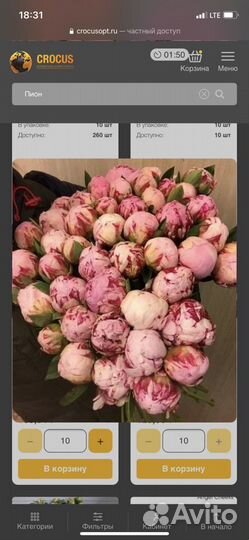 Розы пионы цветы