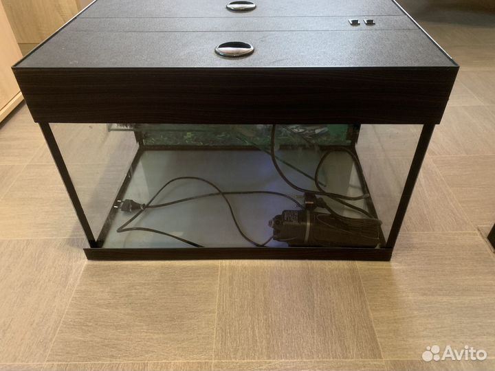 Террариум для черепахи