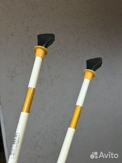 Скандинавские палки