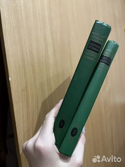 Есенин собрание стихи 2 тома