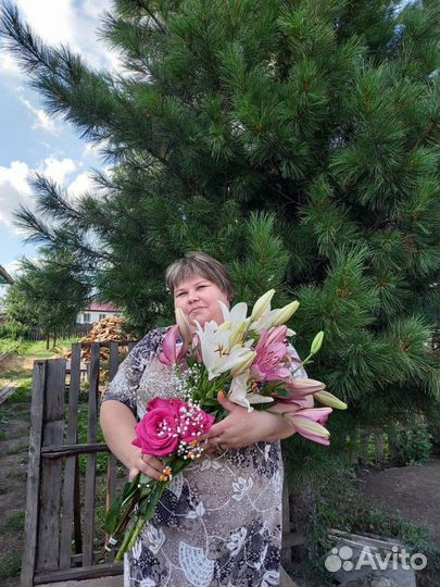 Любая работа, подработка