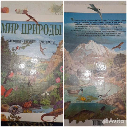 Книга-Мир природы