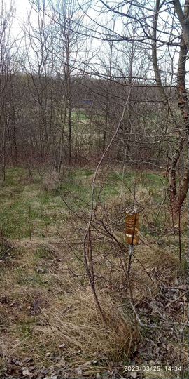 Участок 57 сот. (СНТ, ДНП)