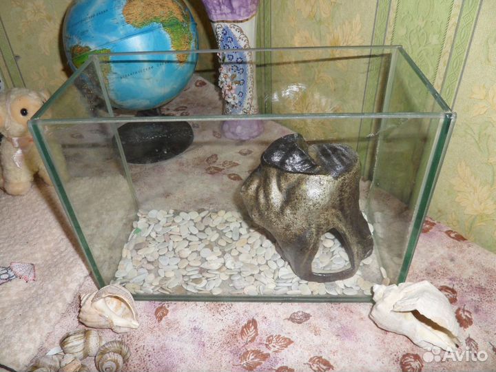 Черное море. Грот