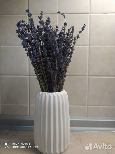 Крымская лаванда