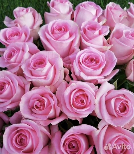 Букет 51 роза цветы букеты 101 25 21 15 букет розы