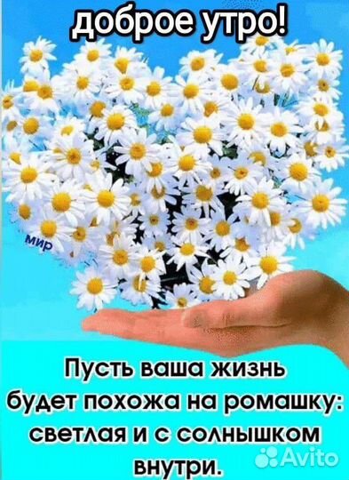 Маникюр и спа процедура, удаление кутикулы