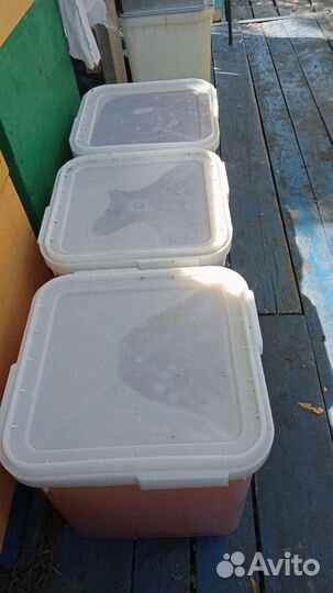 Продам мед оптом,луговое разнотравье