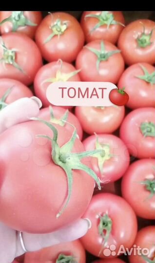 Овощи и фрукты оптом доставка