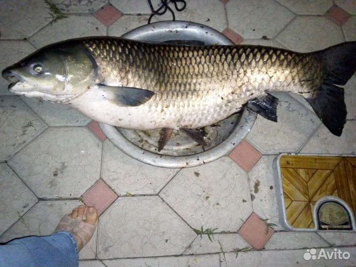 Организация отдыха и рыбалки