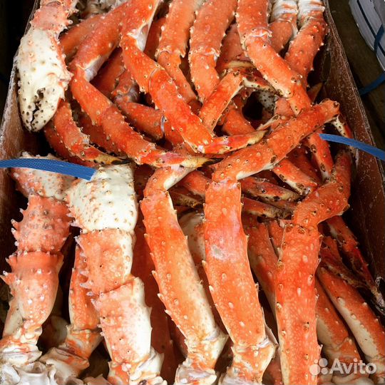 Морепродукты дв