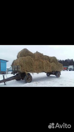 Сено в рулонах