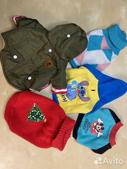 Одежда для маленьких собак s