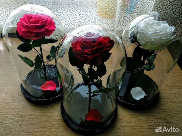 Вечная Роза в колбе + Гравировка в подарок