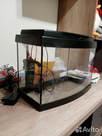 Аквариум телевизор