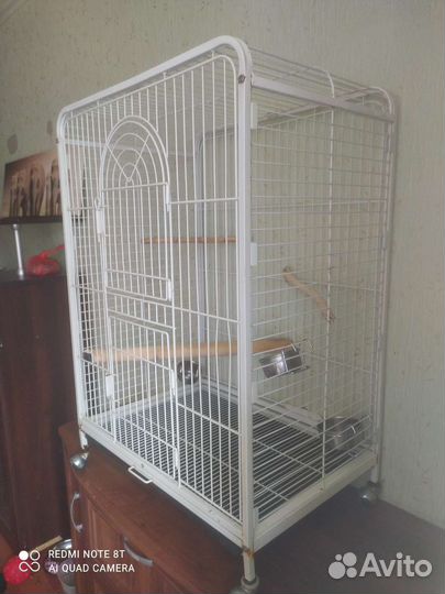 Корелла или для крупного попугая