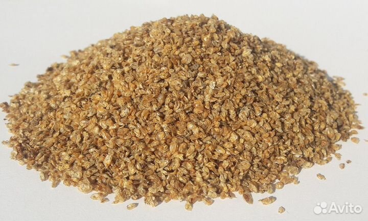 Дафния сухая