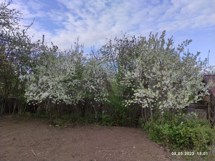 Дача 20 м² на участке 9 сот.